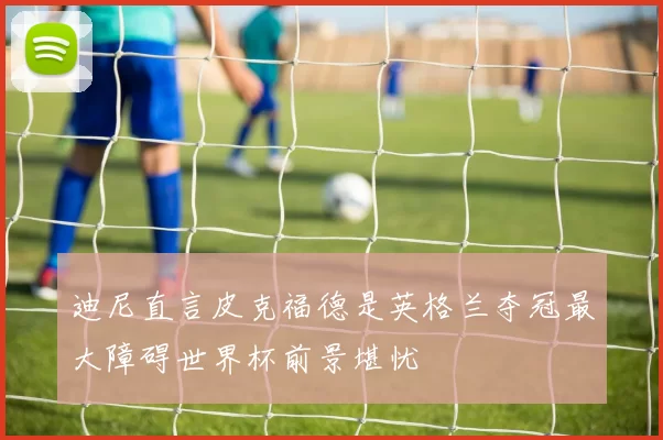 迪尼直言皮克福德是英格兰夺冠最大障碍世界杯前景堪忧