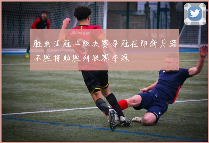 胜利亚冠二级决赛争冠在即新月若不胜将助胜利联赛夺冠